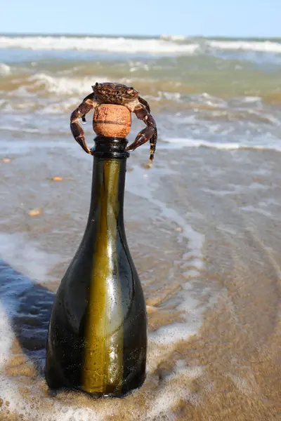 Green Glass bottle with a secret message and a large crab on top