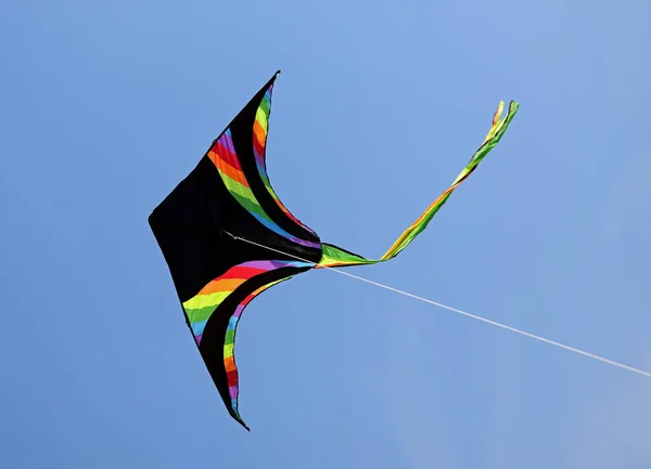 Black Kite Смугами Різних Кольорів Веселки Літають Блакитному Небі — стокове фото