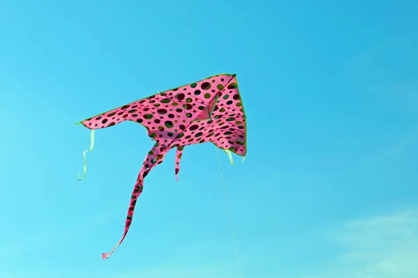 ピンクの凧と青い空に浮かぶポスが糸についているから負けない — ストック写真