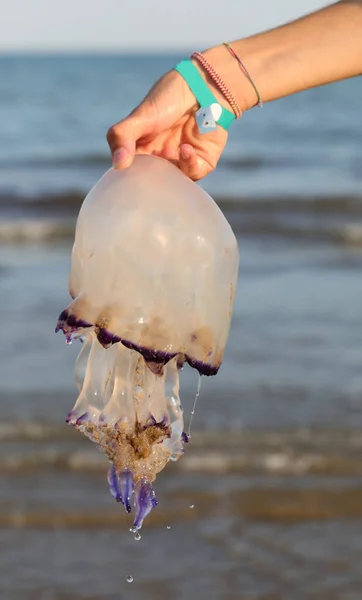 Hand Jellyfish Stinging Tentacles Sea — Stock Photo, Image