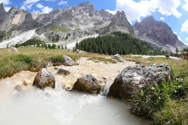 Ruisseau Avec Eau Prise Près Des Montagnes Arrière Plan Été — Photo