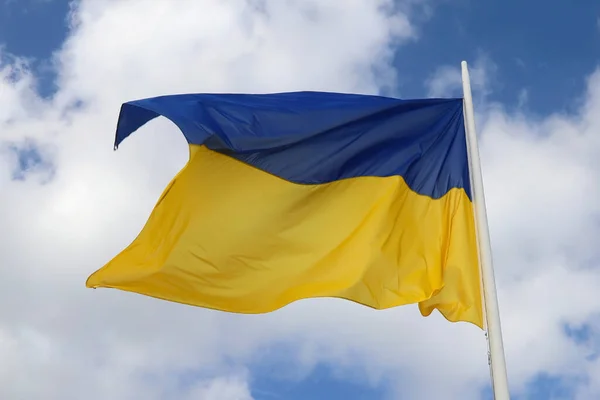 Большой Флаг Украины Голубой Солнце Над Желтыми Подсолнухи — стоковое фото