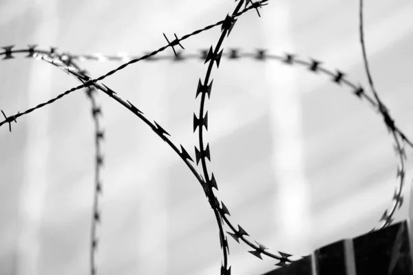 Barbed Wire Refugee Camp Avoid Escapes White Black Effect — Stock Photo, Image