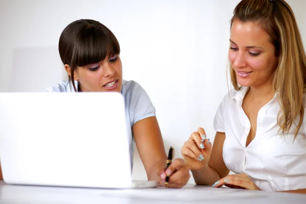 Pretty young businesswomen working together — Stock Photo, Image