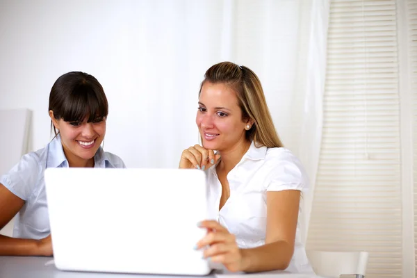 Стильные деловые женщины, ищущие экран ноутбука — стоковое фото