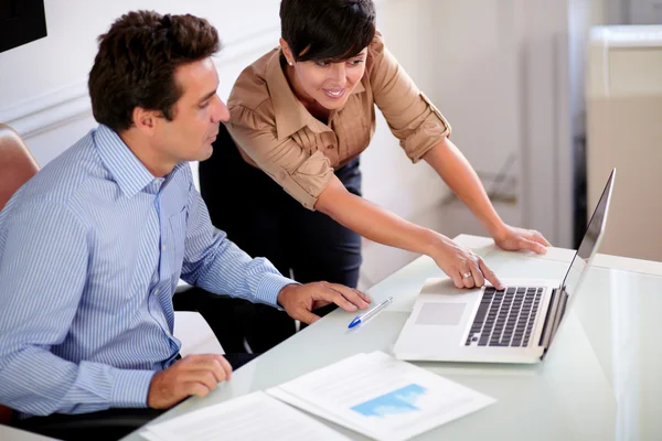 Two professional colleagues looking at computer — Stock Photo, Image