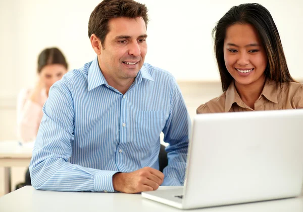 Male and female coworker looking at laptop Royalty Free Stock Photos