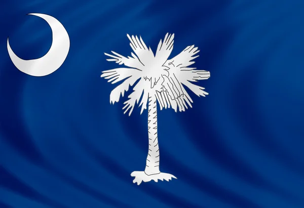 South Carolina flag of silk — Stock Photo, Image