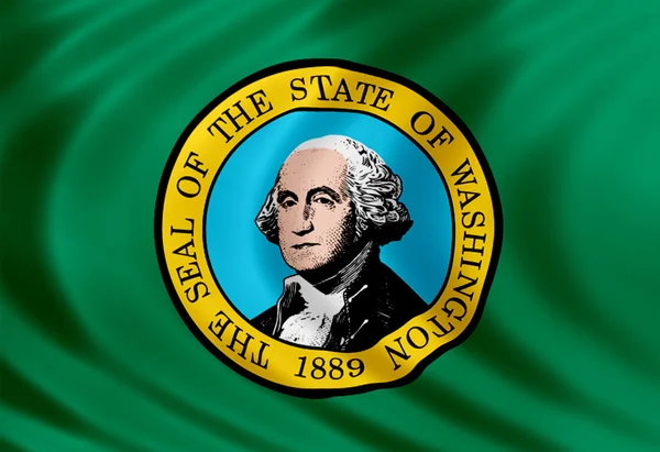 Washington vlag van zijde — Stockfoto