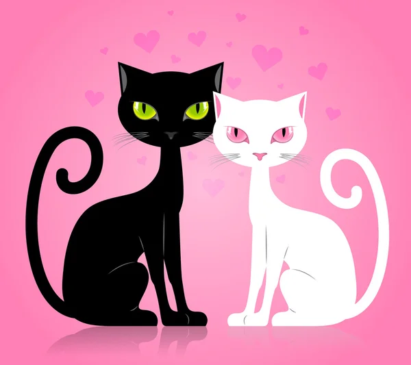 Gato blanco y negro — Vector de stock