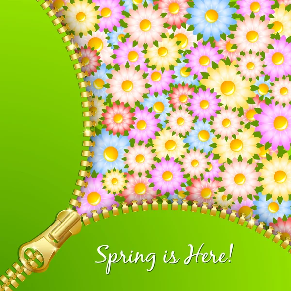 Spring zipper with flowers — Stock Vector