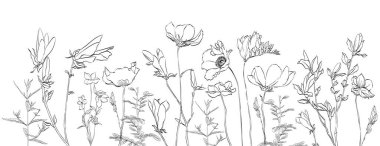 Tasarım elementi ve düğün vektörü için doğal çiçek çizim vektörü. Çizgili El Çizimi Çizimi. Renkli çiçek çayırları, beyaz arka planda izole otlar. Botanik fabrikası.