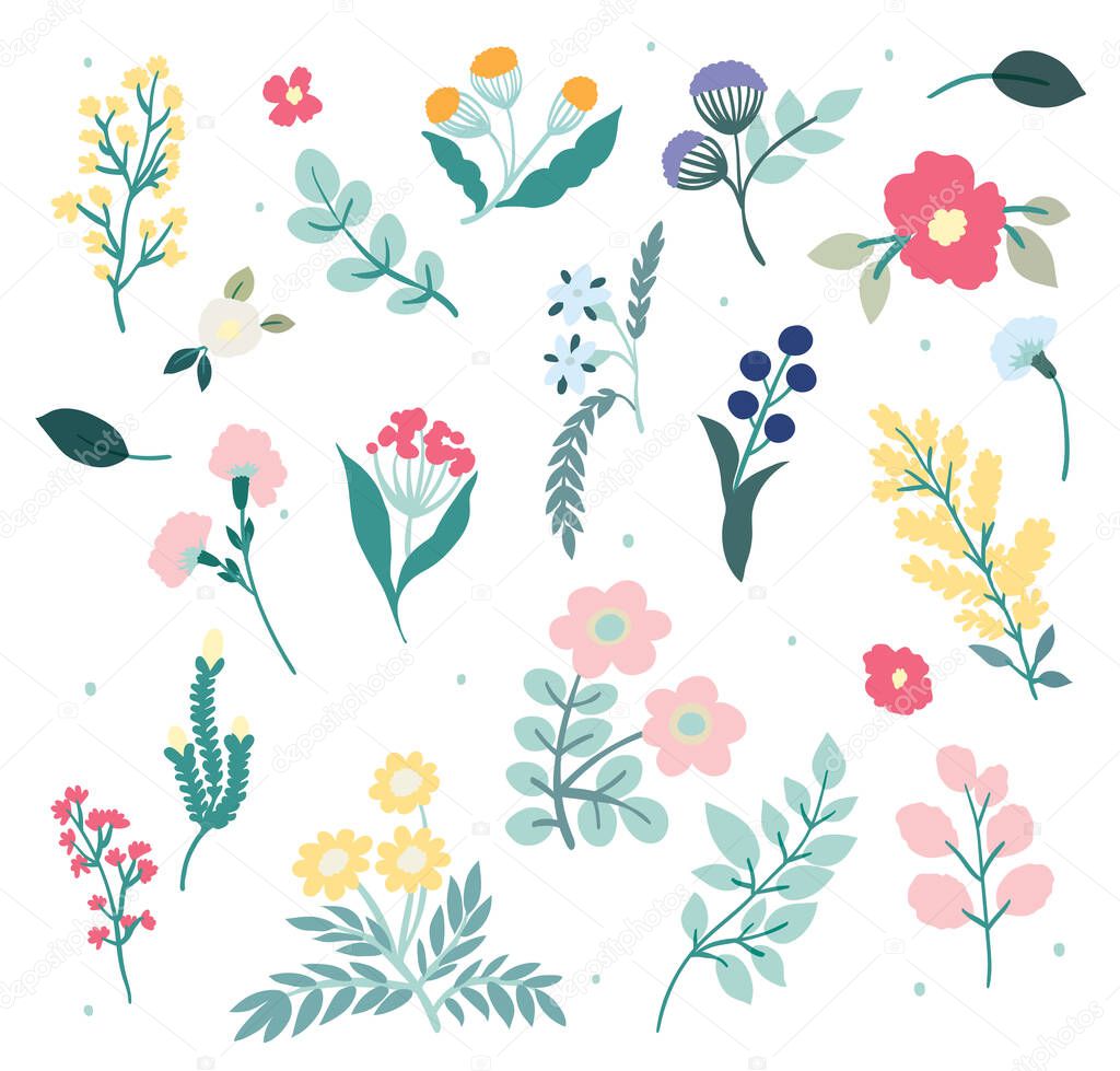 Flower banner or floral icon and logo decorated with gorgeous multicolored blooming flowers and leaves border. Spring botanical flat vector illustration on white background in simple style