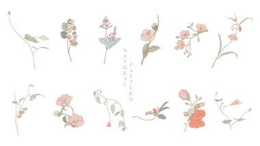 Sanat doğal ikonu ve logo tasarımı. Japonca arka plan, elle çizilmiş doğal vektör. Yaprakları ve çiçek süslemesi olan bir dal.. 
