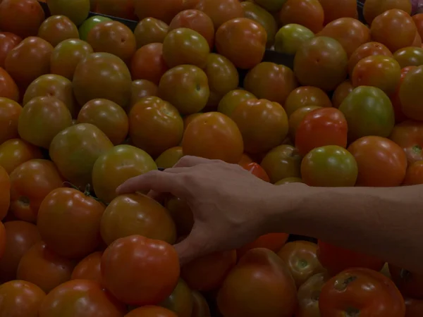 Süpermarkette bir sürü taze domates arasından olgun domatesleri seçen bir adam.