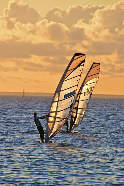 Tallin ve Windsurf