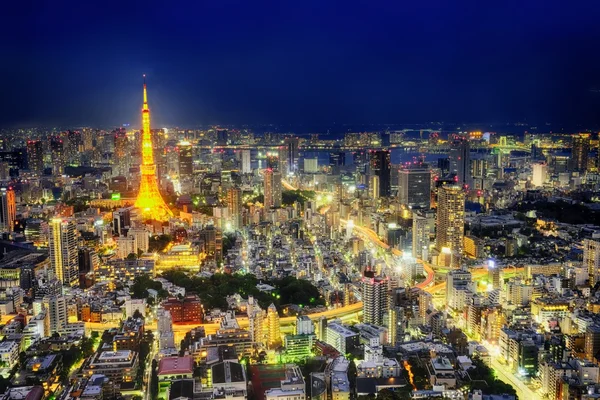 Tokyo & Blue Hour — Stock Photo, Image