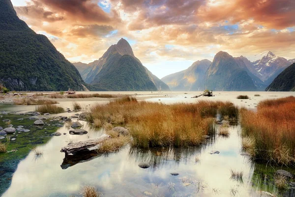 O Milford sound & reflexões — Fotografia de Stock