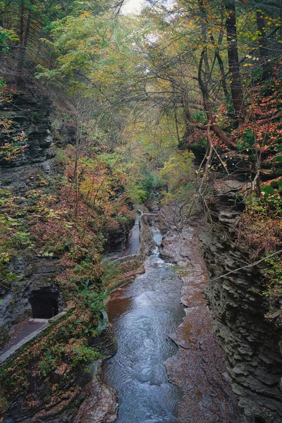 秋のワトキンス グレン国立公園の写真 — ストック写真