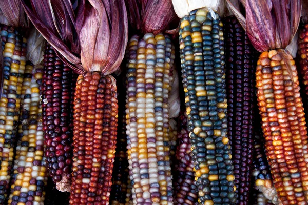 Decorative corn cobs