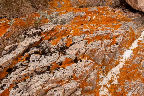 Rocher fissuré Images De Stock Libres De Droits