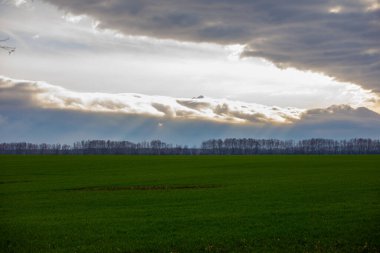yol alanı ve yeşil çimen arkaplanı