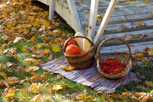 Autumn Installation Basket Pumpkins Flowers Apples Leaves High Quality Photo — Stock Photo, Image