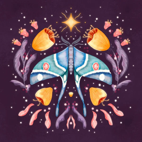 Moth Bloemen Motieven Patroon Ontwerp Symmetrie Kleurrijke Illustratie Met Mot — Stockfoto