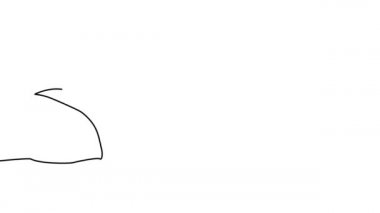 Sürekli filizlenen, bitkilerin kendini çizdiği bir çizgi. Büyüme ve kalkınma kavramı, ekoloji