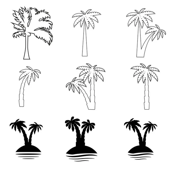 Установить Тропические Пальмы Листьями Зрелые Молодые Растения Черные Силуэты Изолированы — стоковый вектор