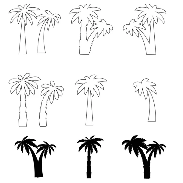 Set Tropical Palm Trees Leaves Mature Young Plants Black Silhouettes — Stock Vector