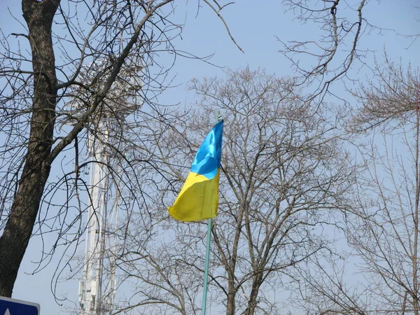 Ukraine Flag Silk Waving Flag Ukraine Made Transparent Fabric Gold — Stock Photo, Image