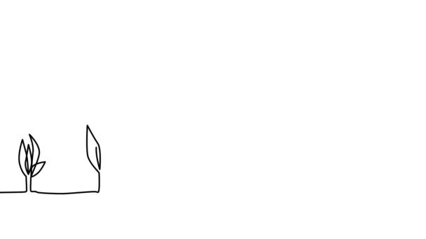 Linia uprawy roślin sztuka doodle rysować proces Whiteboard symbol znak koncepcja — Wideo stockowe