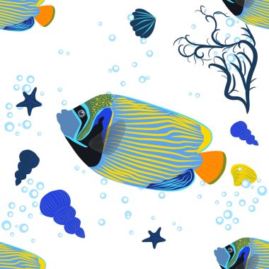 İmparator melek balığı, Pomacanthus hükümdarı kusursuz desenler, deniz hayvanı vahşi yaşam karakteri. Doğa su altında, deniz vahşi okyanus hayvanat bahçesi balıkları