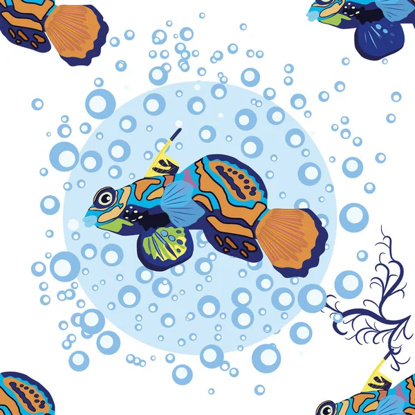 Мандаринская Рыба Бесшовная Красивый Характер Среди Морских Раковин Морских Водорослей — стоковый вектор