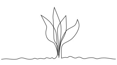 Tek bir çizgili sanat filizleniyor. Bitki yaprakları tohum yetiştirir toprak filizlenir eko doğal tarım konsepti tasarlanır bir çizim ana hatları çizilir