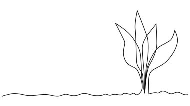 Tek bir çizgili sanat filizleniyor. Bitki yaprakları tohum yetiştirir toprak filizlenir eko doğal tarım konsepti tasarlanır bir çizim ana hatları çizilir