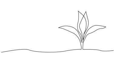 Tek bir çizgili sanat filizleniyor. Bitki yaprakları tohum yetiştirir toprak filizlenir eko doğal tarım konsepti tasarlanır bir çizim ana hatları çizilir