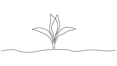 Tek bir çizgili sanat filizleniyor. Bitki yaprakları tohum yetiştirir toprak filizlenir eko doğal tarım konsepti tasarlanır bir çizim ana hatları çizilir