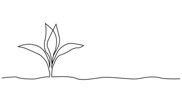Einzelne Ununterbrochene Linie Kunst Wächst Pflanzen Blätter Samen Wachsen Boden — Stockvektor