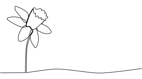 Bahçe Için Taze Narsislerin Tek Bir Çizimi Basılabilir Nergis Çiçeği — Stok Vektör
