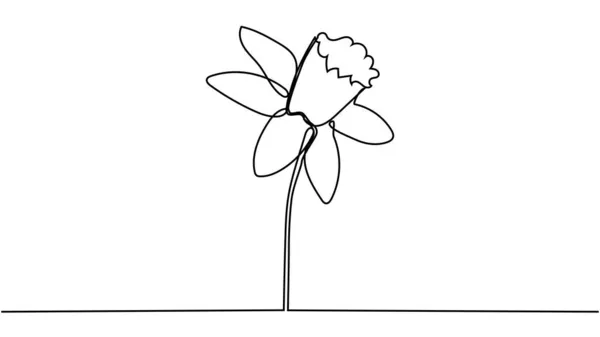 Dessin Unique Narcisse Fraîche Beauté Pour Jardin Concept Fleur Jonquille — Image vectorielle
