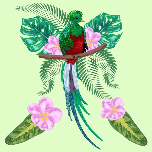 Quetzal Sedí Větvi Křemeslná Ilustrace Ručně Kreslený Quetzal Pták — Stockový vektor