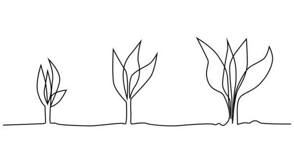 Fase Vida Vegetal Continua Dibujo Una Línea Ilustración Minimalista Semillas — Vector de stock
