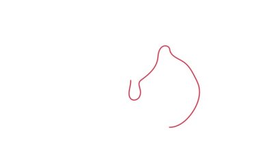 Lily Flowers 'ın çizimi. El çizimi beyaz zambak animasyonu