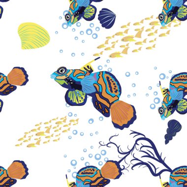Mandarin balığının dikişsiz desenleri. Deniz kabukları, deniz yosunu, denizyıldızı, deniz hayvanı yaban hayatı karakteri arasında güzel bir karakter. Doğa su altında, deniz vahşi okyanus hayvanat bahçesi balıkları