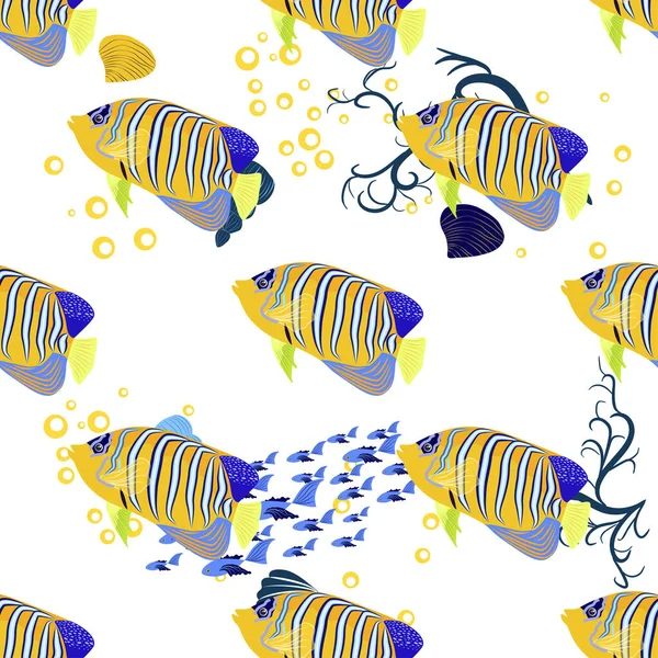 Emperador Angelfish Pomacanthus Imperator Seamless Patterns Sea Animal Wildlife Character — Archivo Imágenes Vectoriales