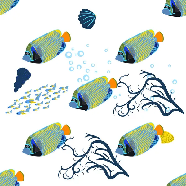 Emperador Angelfish Pomacanthus Imperator Seamless Patterns Sea Animal Wildlife Character — Archivo Imágenes Vectoriales