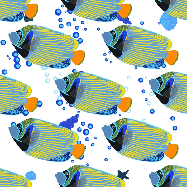 Emperor Angelfish Pomacanthus Imperator Seamless Patterns Sea Animal Wildlife Character — Stock Vector