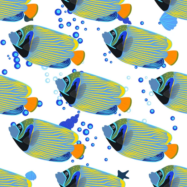 Emperador Angelfish Pomacanthus Imperator Seamless Patterns Sea Animal Wildlife Character — Vector de stock